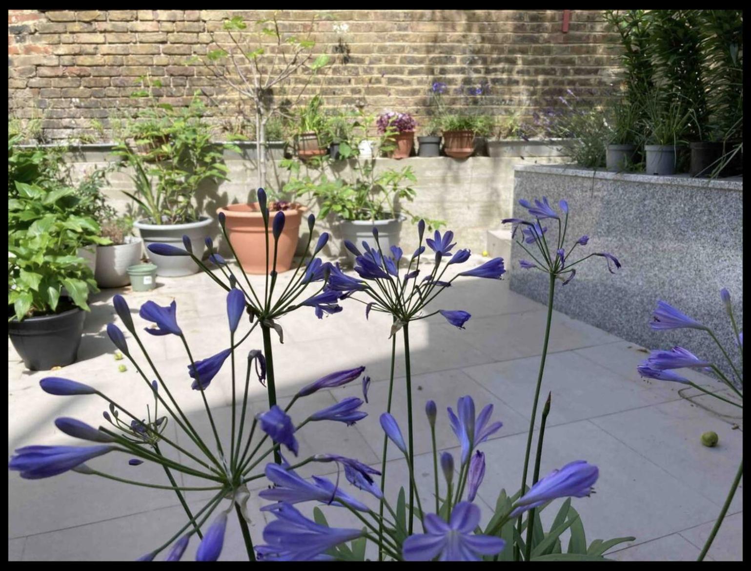 Fabulous Spacious Stylish Private In Nw6 With Excellent Transport Links To Centre, Hosted By Female Currently Taking Bookings For Females & Couples Only, Suitable For Holidays, Study, Work, Courses Or Inbetween * Londra